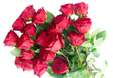 Similar image 22353683