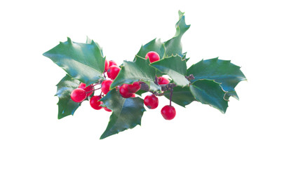 Similar image 22353701