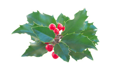 Similar image 22353704