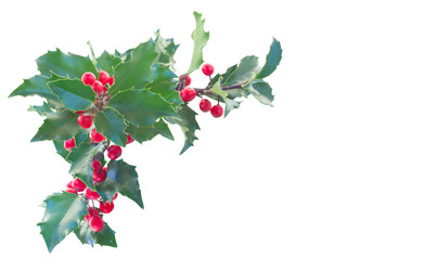 Similar image 22353707