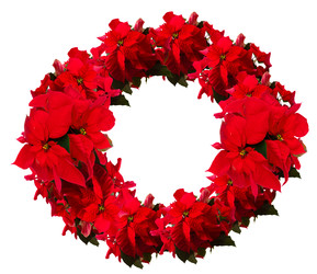 Similar image 22353710