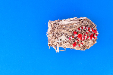 Similar image 22353737