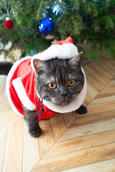 Similar image 22364364