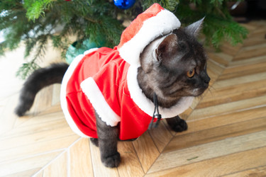 Similar image 22364365