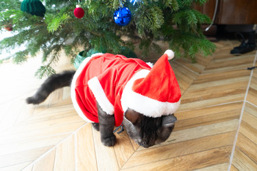 Similar image 22364366