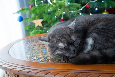 Similar image 22364379