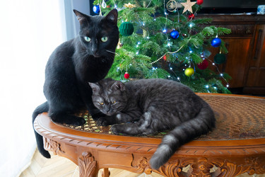 Similar image 22364380