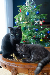 Similar image 22364381