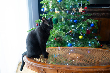 Similar image 22364394