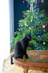 Similar image 22364395