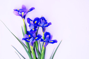 Similar image 22364514