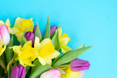 Similar image 22364529