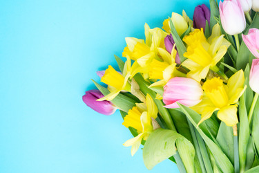 Similar image 22364530