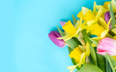 Similar image 22364531