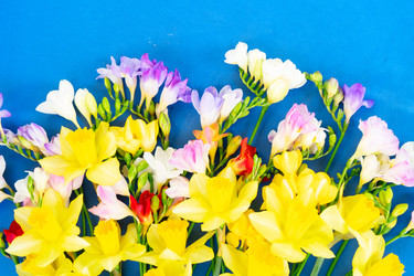 Similar image 22364561