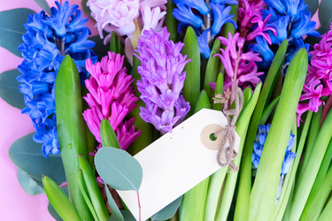 Similar image 22364723