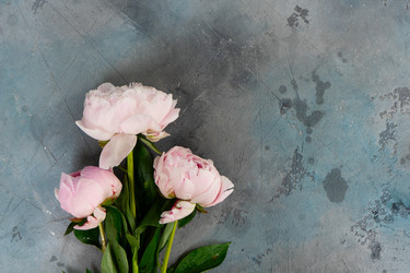 Similar image 22364738