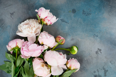 Similar image 22364739