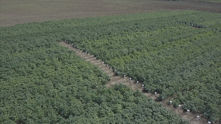 Similar image 22370745