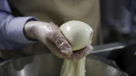 Similar image 22370899