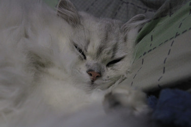 Similar image 22348601