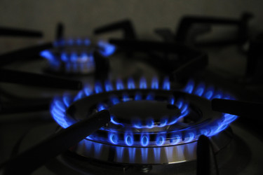 Similar image 22348605