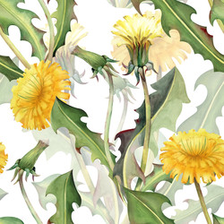 Similar image 22374087