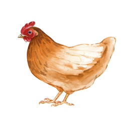 Similar image 22374134