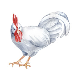 Similar image 22374135