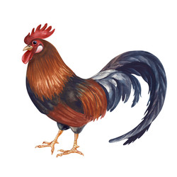 Similar image 22374136