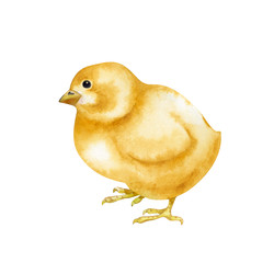 Similar image 22374146