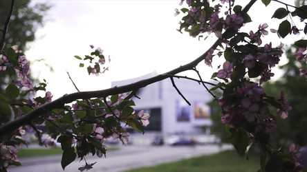 Similar image 22370582