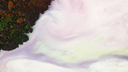 Similar image 22370631