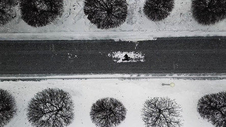 Similar image 22370990