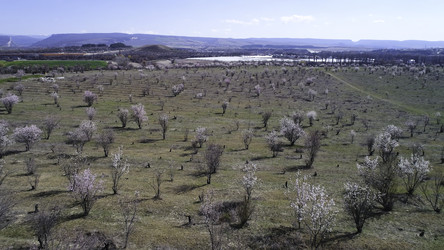 Similar image 22371126