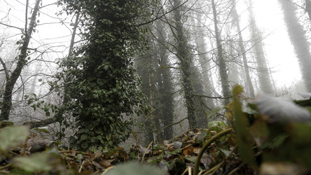 Similar image 22371366