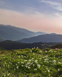 Similar image 22365912