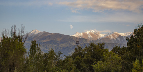 Similar image 22365913