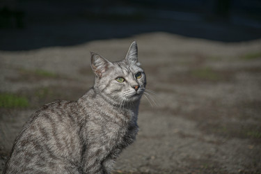 Similar image 22351401