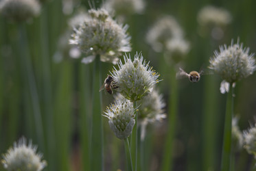 Similar image 22365915