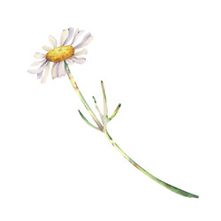 Similar image 22374137