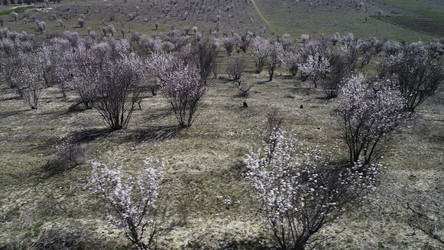 Similar image 22370914