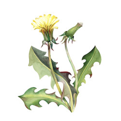 Similar image 22374152