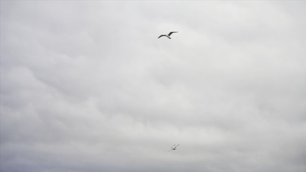 Similar image 22371092