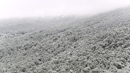 Similar image 22371183