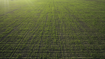 Similar image 22371323