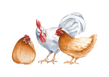 Similar image 22374183