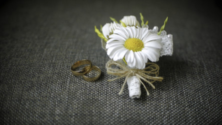 Similar image 22367890