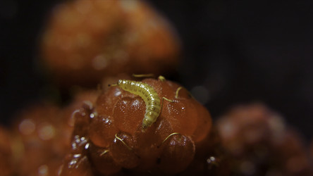 Similar image 22367935