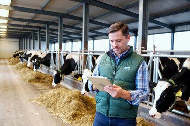 Similar image 22358703